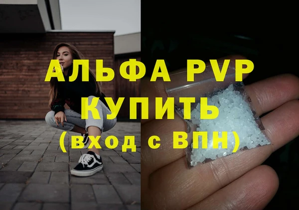 крисы Алексин