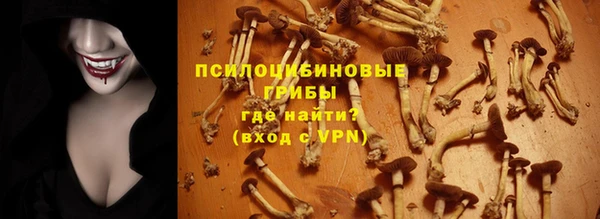 крисы Алексин