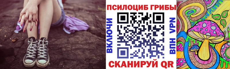 что такое площадка Telegram Галлюциногенные грибы мицелий Новоалтайск